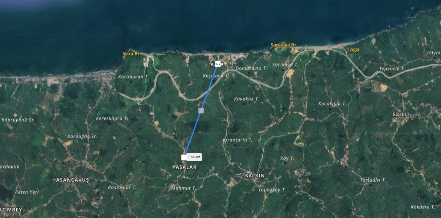 pasalar.png