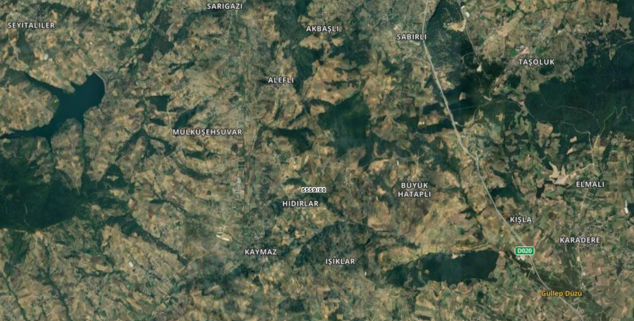 /ilan/sakarya-adapazari-buyukhatapli-mahallesinde-satilik-tarla-ada-5559-parsel-80