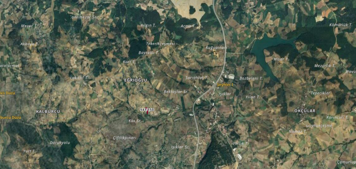 Sakarya Kaynarca Eğrioğlu Mahallesinde Satılık Tarla Ada 941 Parsel 158