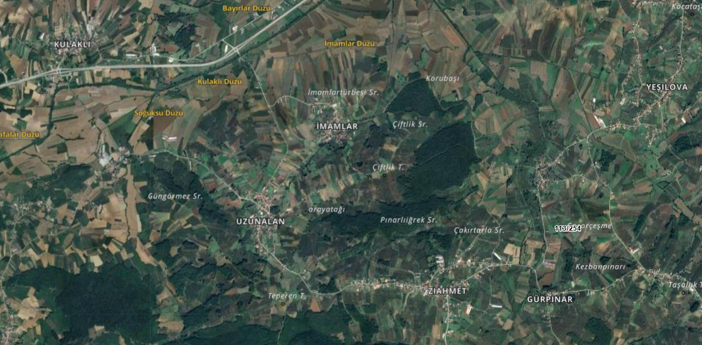 Sakarya Kaynarca Gürpınar Mahallesinde Satılık Tarla Ada 113 Parsel 254
